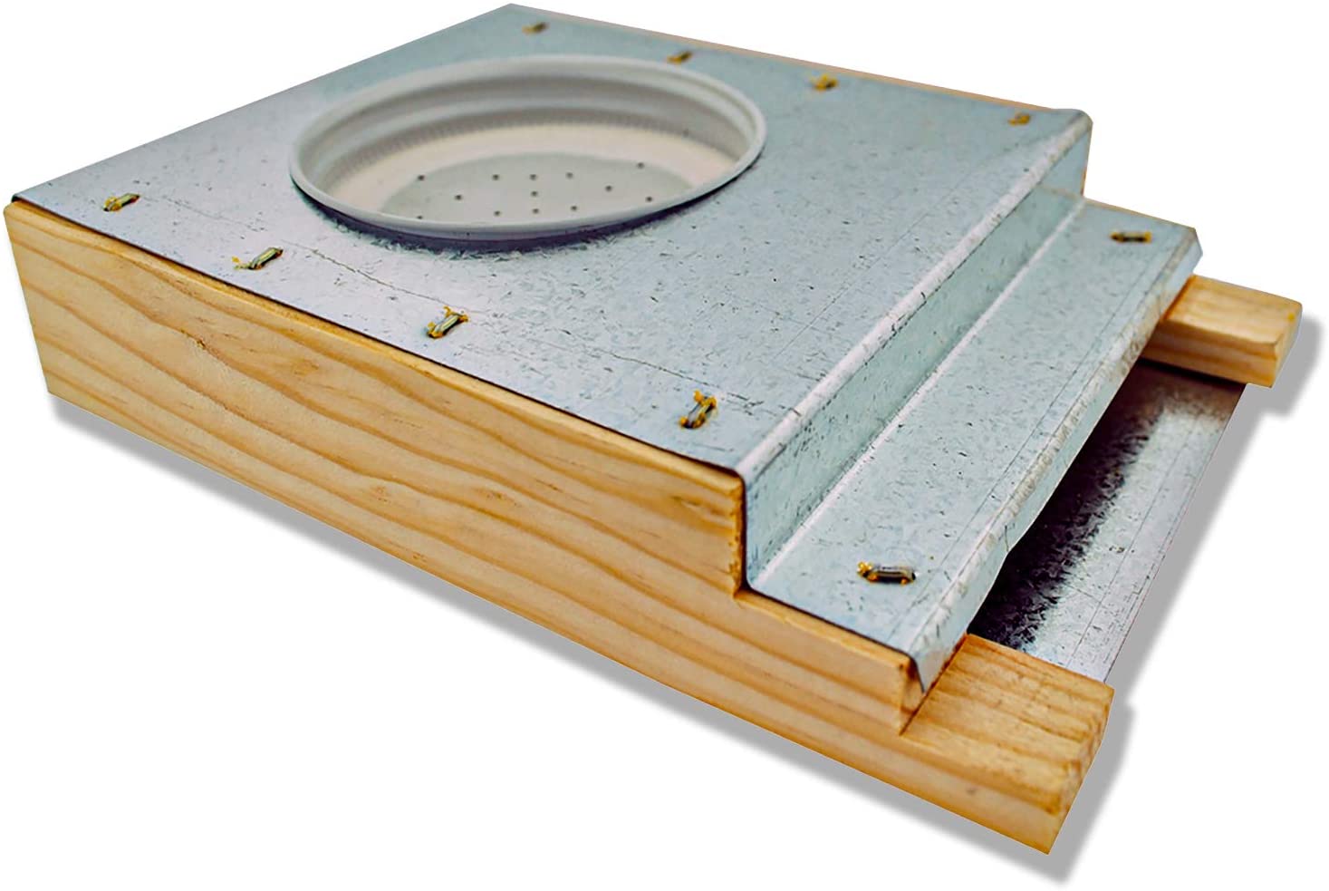 10 Best Bee Feeders Review & Buyer's Guide 2021