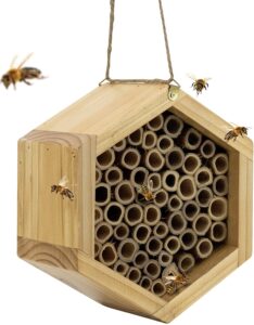 best hive