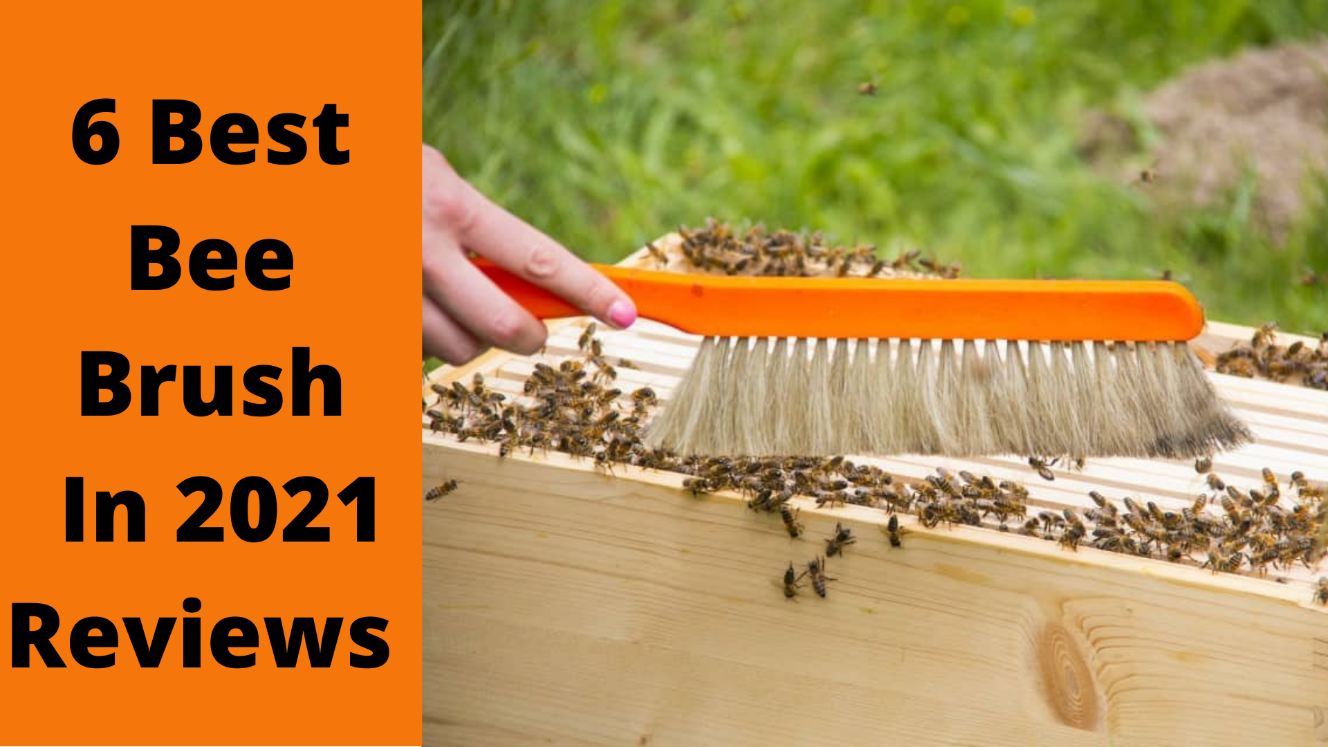 6 Best Bee Brush And How To Choose 2021 - Reviews