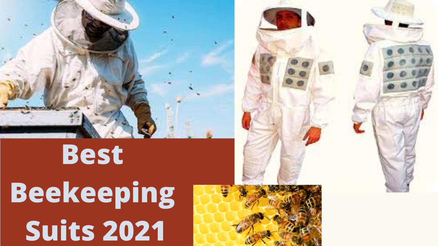 Best Beekeeping Suits That Keep You Safe 2021 Reviews